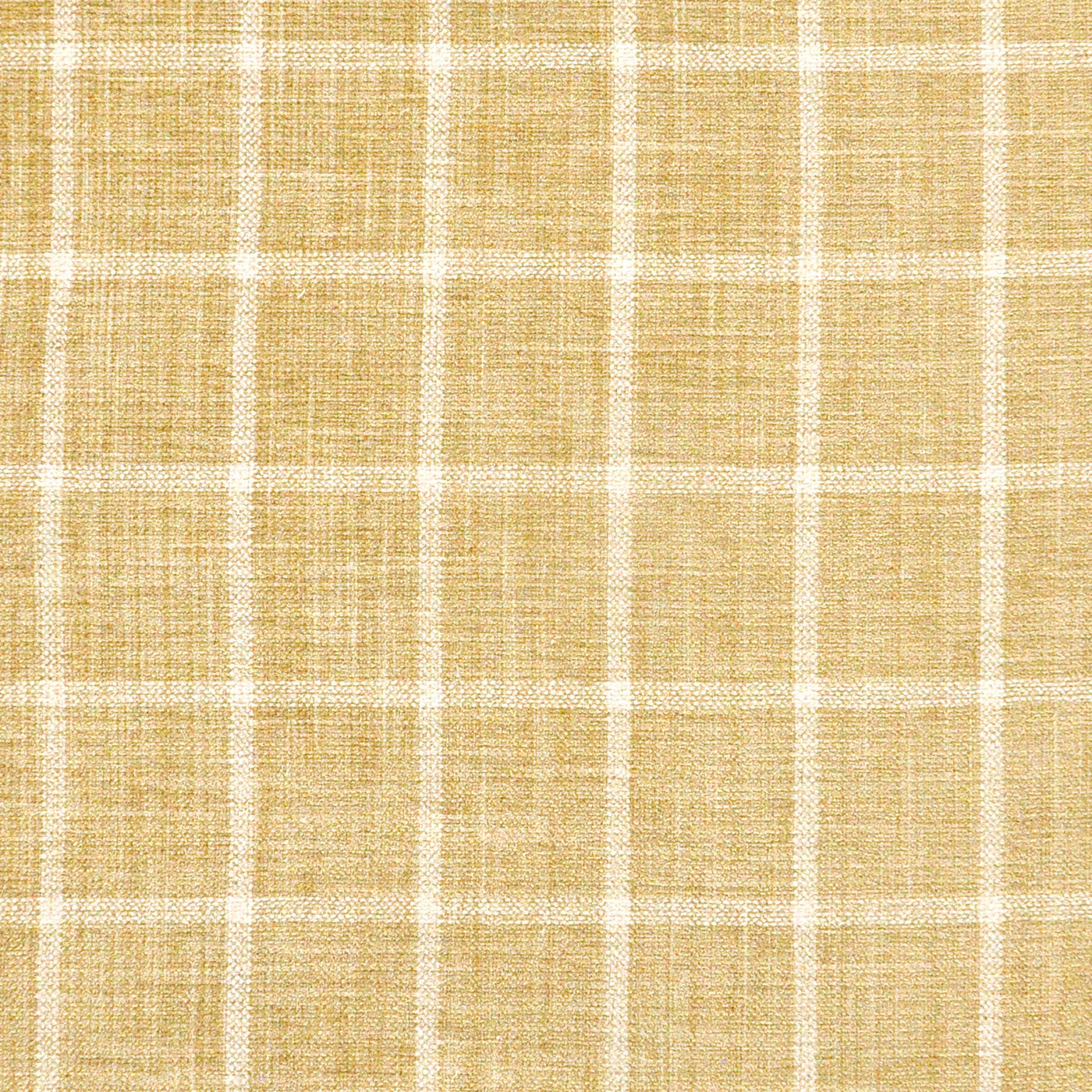 Purchase Maxwell Fabric - Windowpane, # 613 Midas