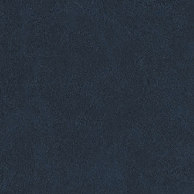 Warden-Nj | # 998 Pacific - Maxwell Fabric