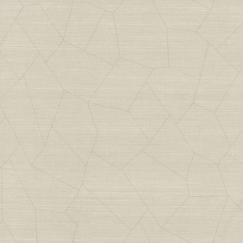 Purchase Whf1742.Wt.0 Vivace, Neutral Modern - Winfield Thybony Wallpaper