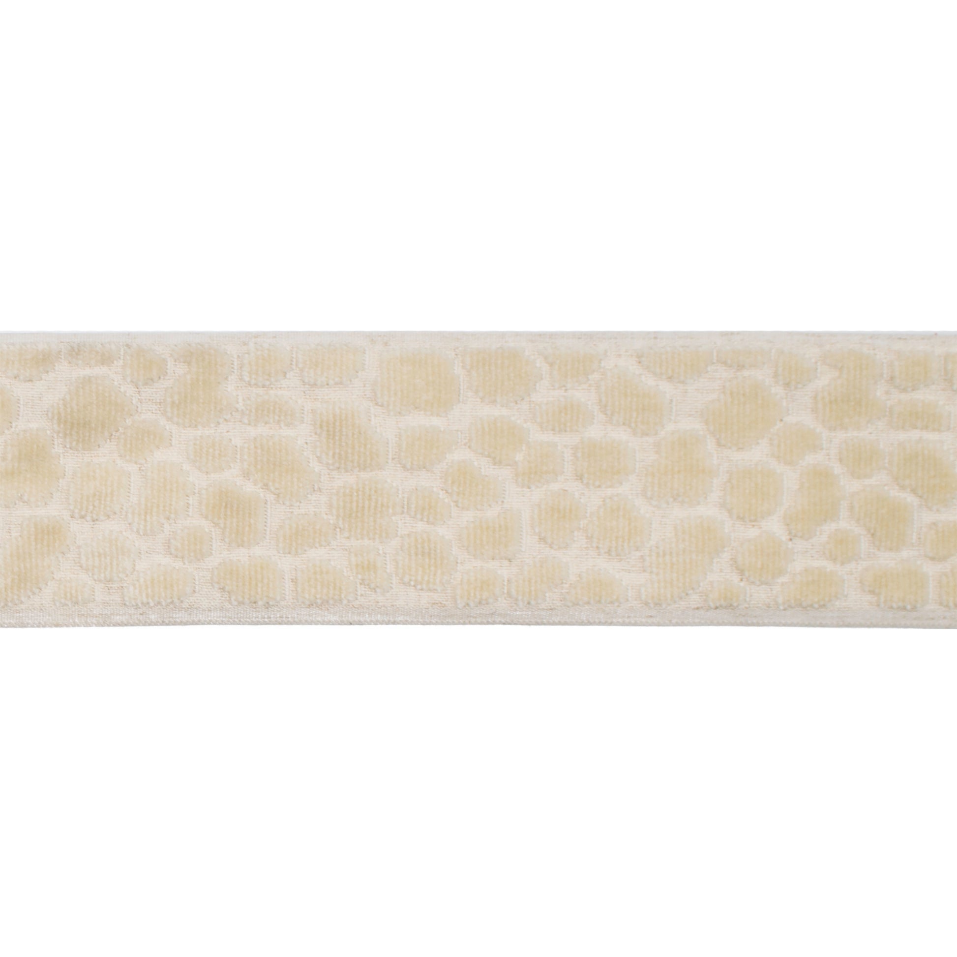 Purchase Mag FabricPattern# 11171 pattern name Wilder Tape Pearl