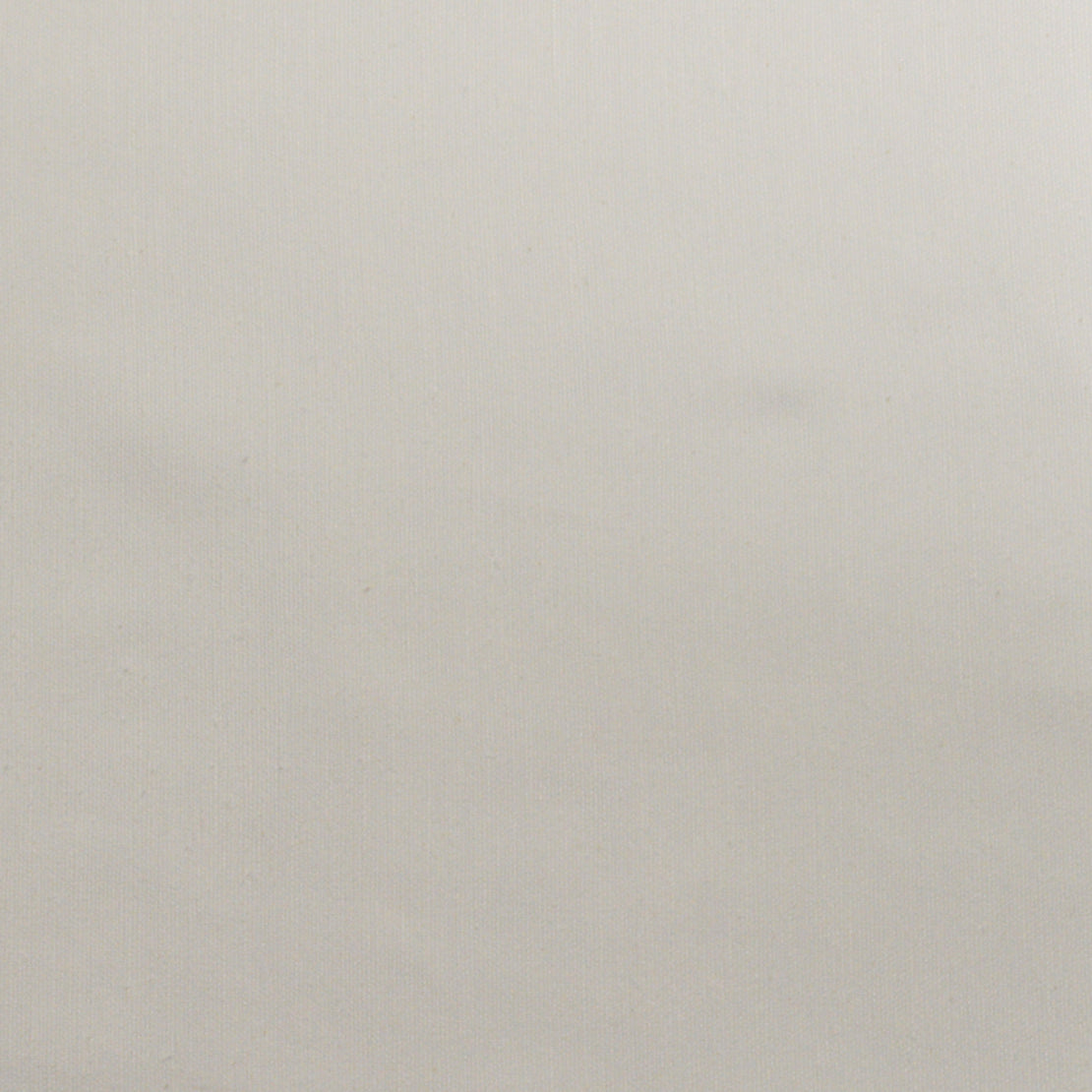 Save 9189 Wilkes White White Magnolia Fabric