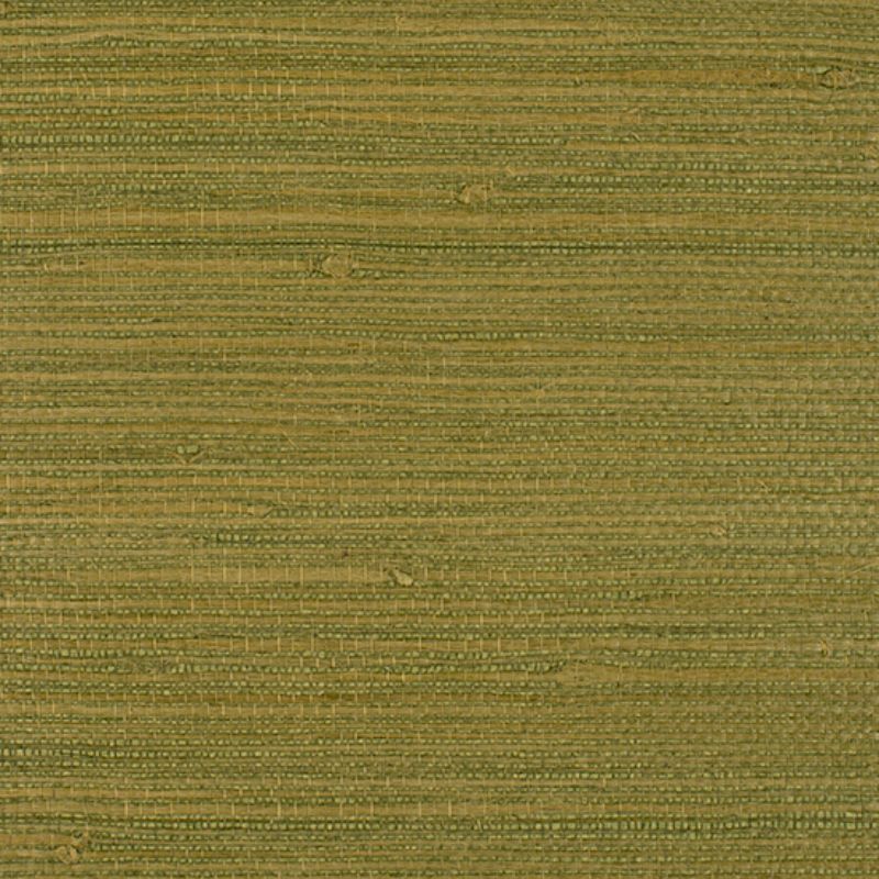 Purchase Wiw2505.Wt.0 Montego, Green Faux Grasscloth - Winfield Thybony Wallpaper