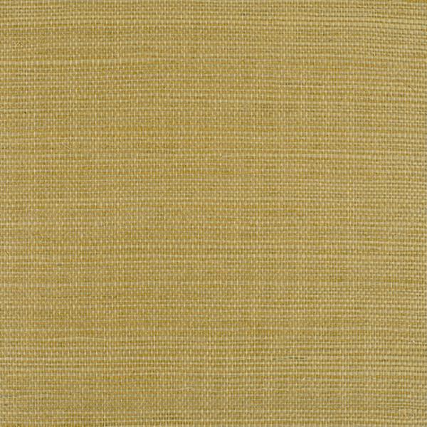 Purchase Wiw2512P-Wt Bermuda, Yellow Texture - Winfield Thybony Wallpaper - Wiw2512P.Wt.0