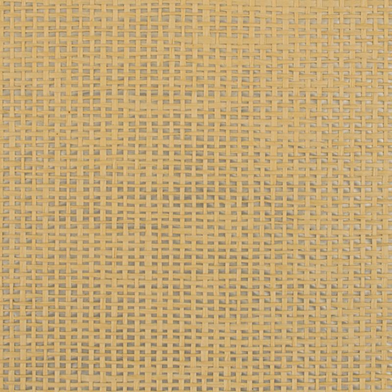 Sample - Wiw2554.Wt.0 | Playa, Orange Organic Textures - Winfield Thybony Wallpaper