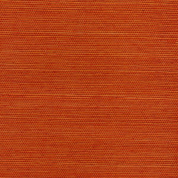 Sample - Wnr2070-Wt | Chiyo Sisal, Orange Solid - Winfield Thybony Wallpaper - Wnr2070.Wt.0
