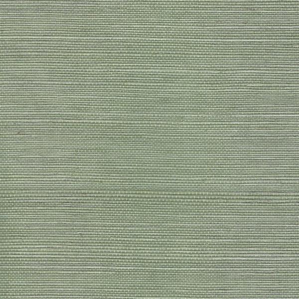 Sample - Wnr2107-Wt | Chiyo Sisal, Green Solid - Winfield Thybony Wallpaper - Wnr2107.Wt.0