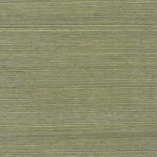 Purchase Wnr2112-Wt Chiyo Sisal, Green Solid - Winfield Thybony Wallpaper - Wnr2112.Wt.0