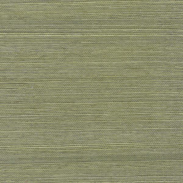 Sample - Wnr2112-Wt | Chiyo Sisal, Green Solid - Winfield Thybony Wallpaper - Wnr2112.Wt.0