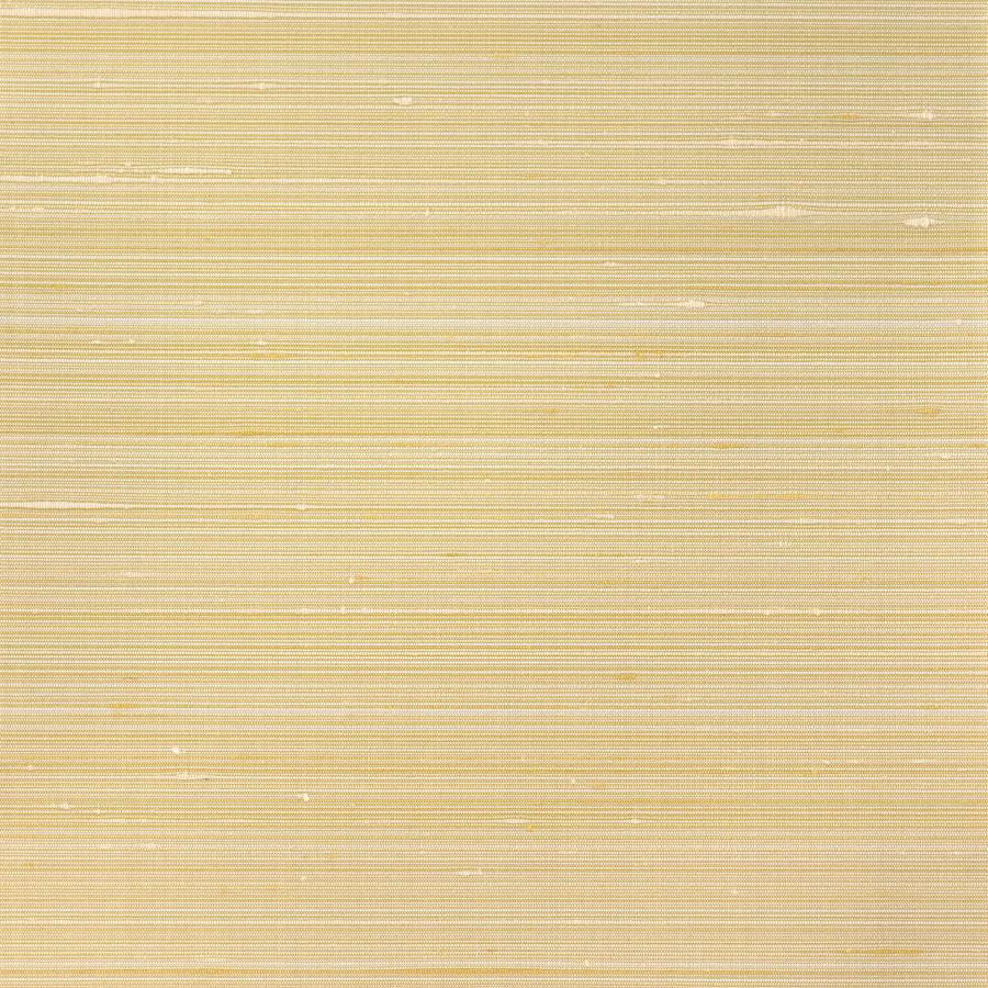 Purchase Wns5526-Wt Grayson, Gold Solid - Winfield Thybony Wallpaper - Wns5526.Wt.0