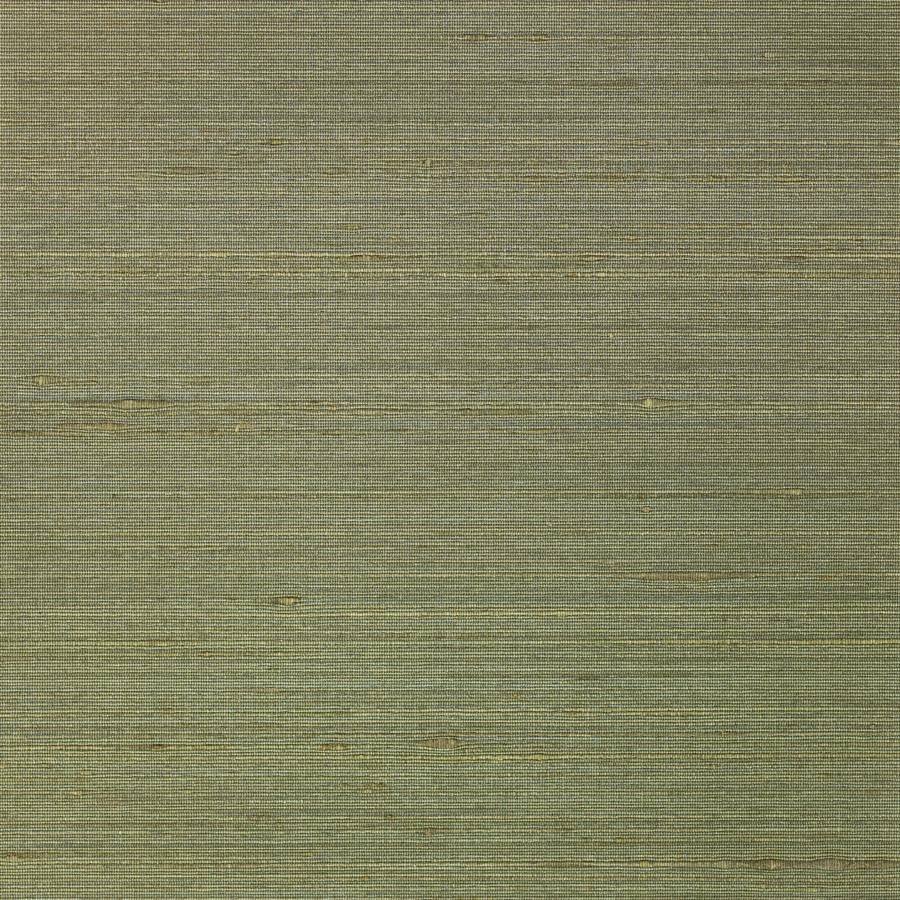 Purchase Wns5553-Wt Ambrose, Green Solid - Winfield Thybony Wallpaper - Wns5553.Wt.0