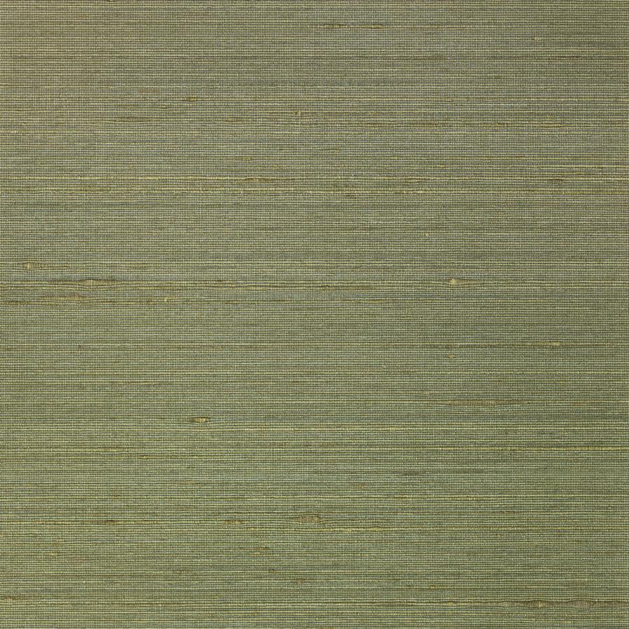 Sample - Wns5553-Wt | Ambrose, Green Solid - Winfield Thybony Wallpaper - Wns5553.Wt.0