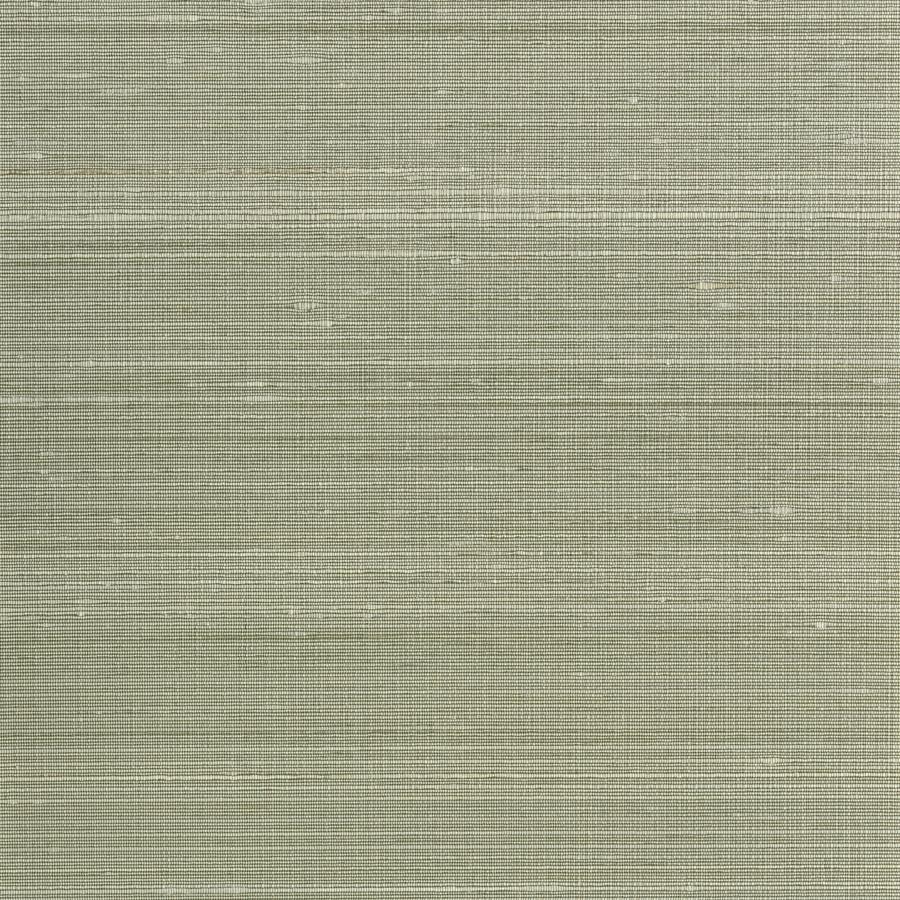 Purchase Wns5556-Wt Ambrose, Green Solid - Winfield Thybony Wallpaper - Wns5556.Wt.0