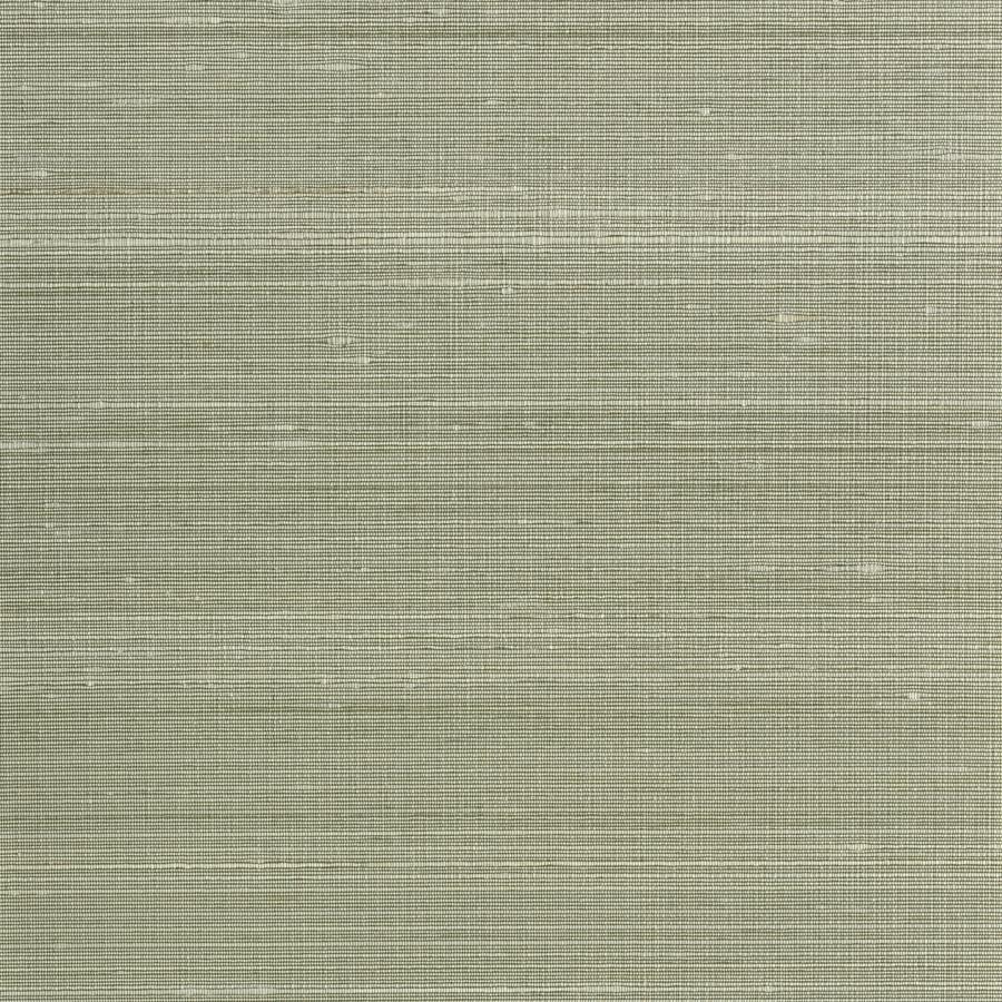 Sample - Wns5556-Wt | Ambrose, Green Solid - Winfield Thybony Wallpaper - Wns5556.Wt.0