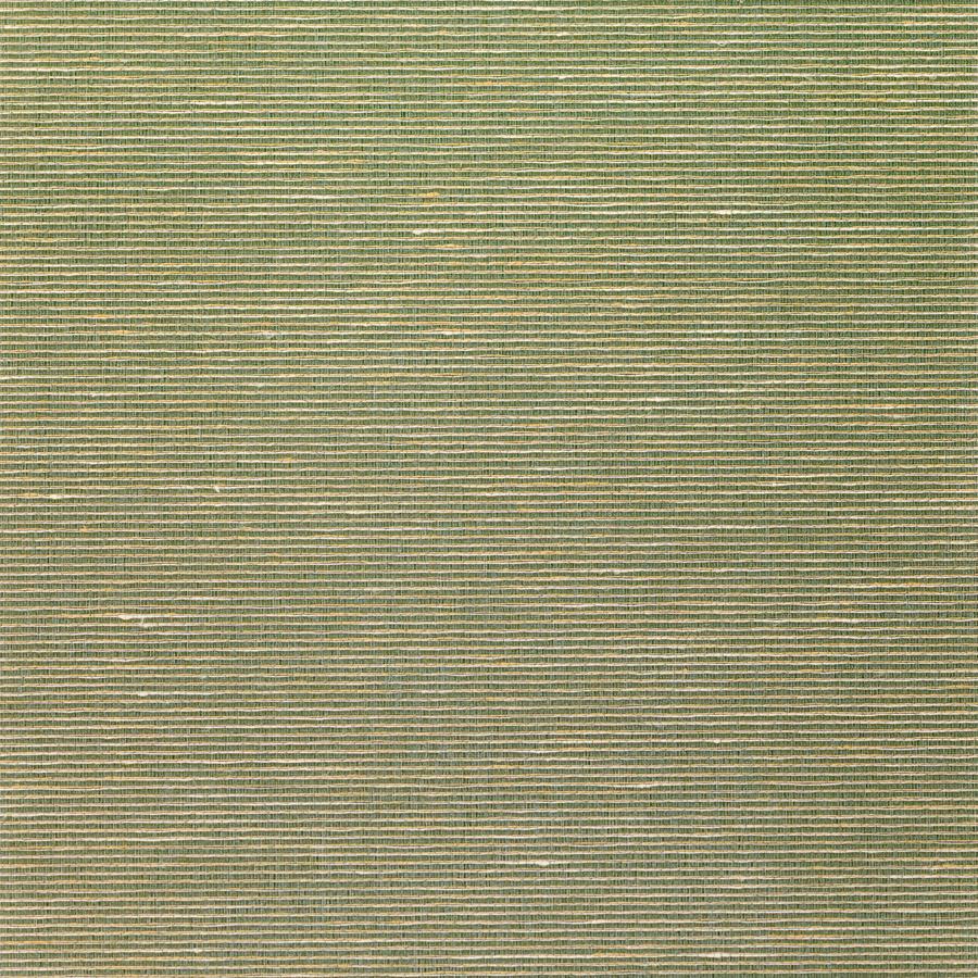 Purchase Wns5576-Wt Althea Plain, Green Solid - Winfield Thybony Wallpaper - Wns5576.Wt.0