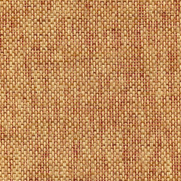 WNW2221.WT Rosette Weave Chipotle by Winfield Thybony