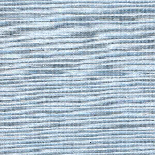 WNW2239.WT Solo Sisal Sky Blue by Winfield Thybony