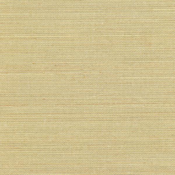 WNW2248.WT Acapella Sand by Winfield Thybony