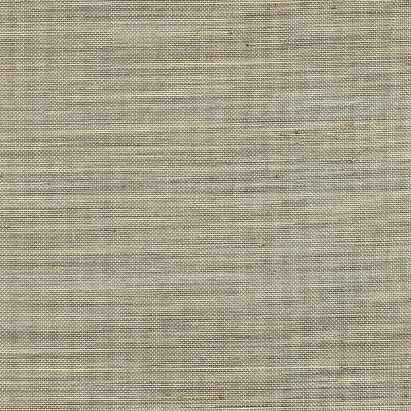 WNW2254.WT Acapella Argyle by Winfield Thybony