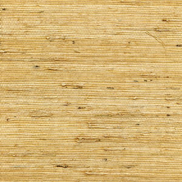 WNW2260.WT Concerto Saffron by Winfield Thybony