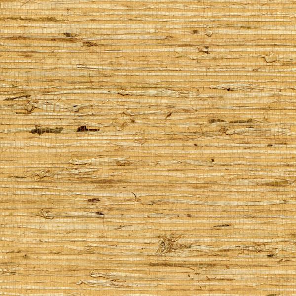 WNW2261.WT Concerto Ochre by Winfield Thybony