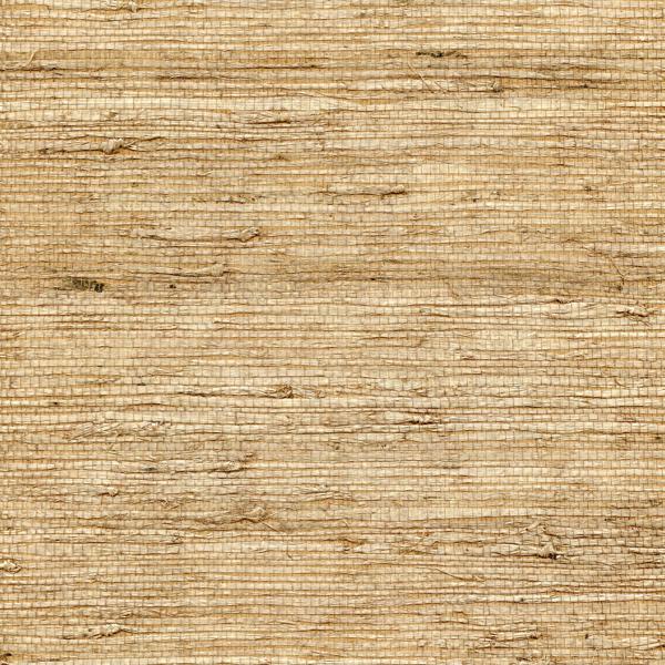 WNW2262.WT Concerto Latte by Winfield Thybony