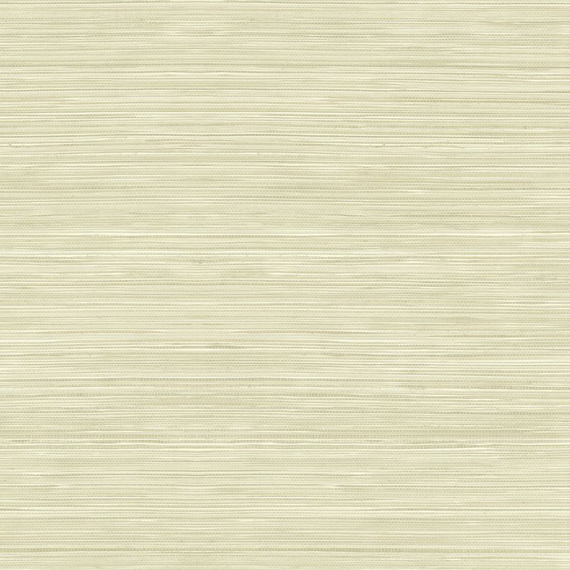 Purchase Wtk15315.Wt.0 Grasscloth Texture, Beige Faux Grasscloth - Winfield Thybony Wallpaper