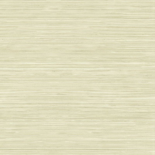 Purchase Wtk15315.Wt.0 Grasscloth Texture, Beige Faux Grasscloth - Winfield Thybony Wallpaper