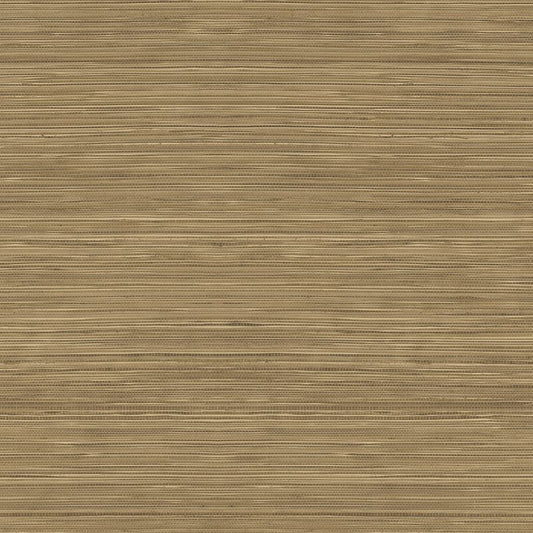 Purchase Wtk15327.Wt.0 Grasscloth Texture, Brown Faux Grasscloth - Winfield Thybony Wallpaper