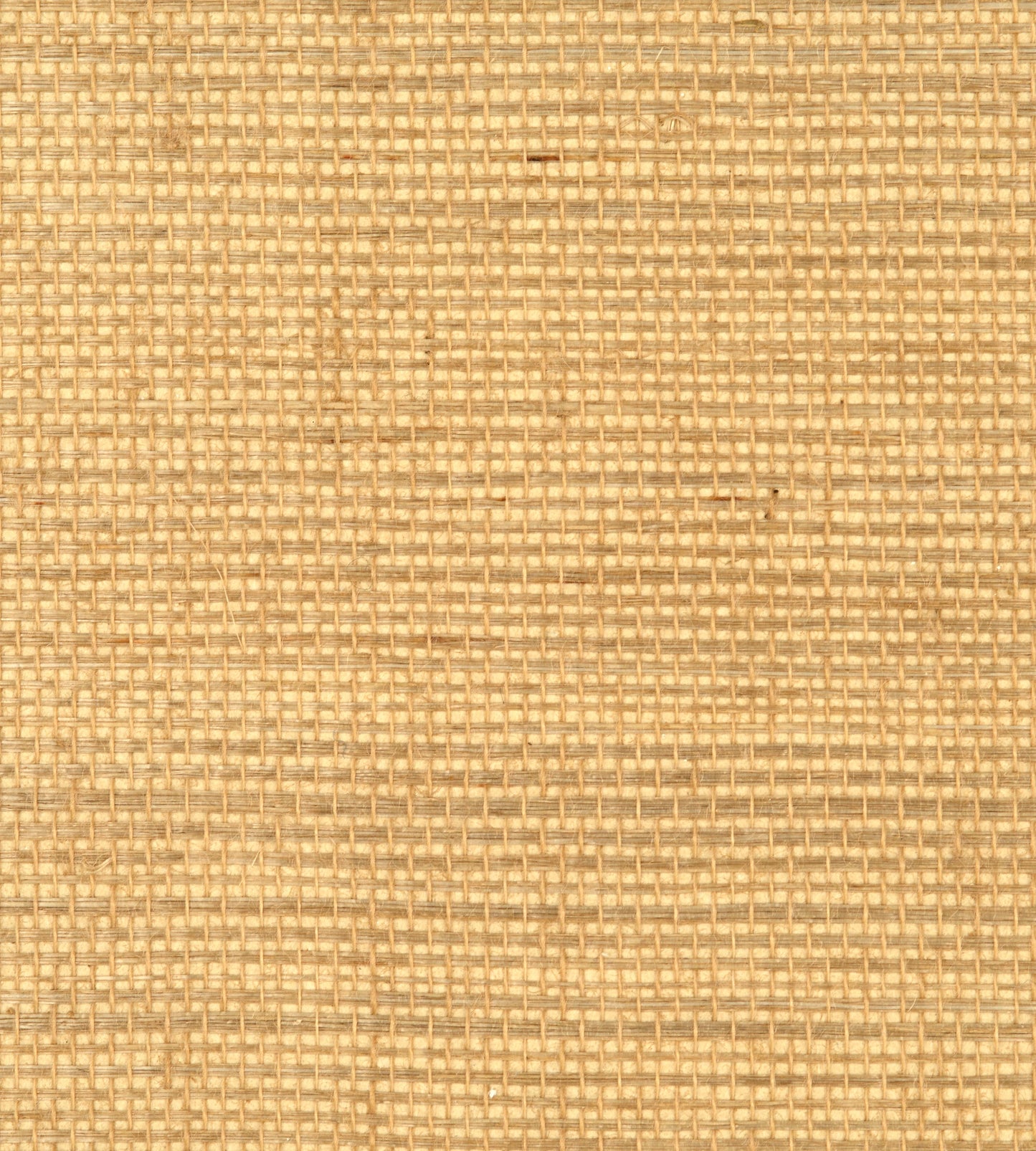 Select Scalamandre Wallpaper Pattern Wtw0435Simp Name Simply Sisal Custard Texture Wallpaper