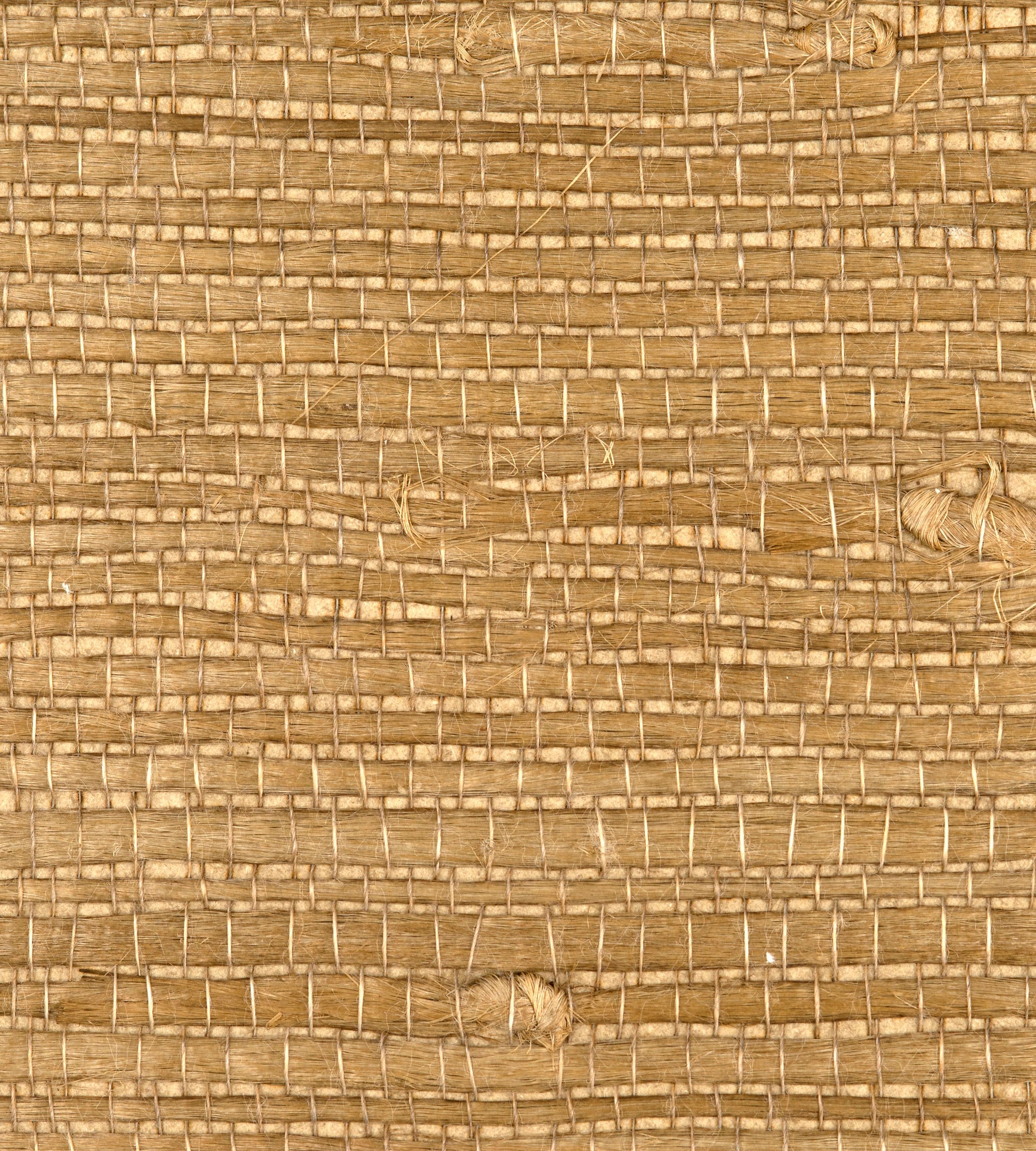 Buy Scalamandre Wallpaper Pattern Wtw0436Just Name Justin Jute Tan Texture Wallpaper