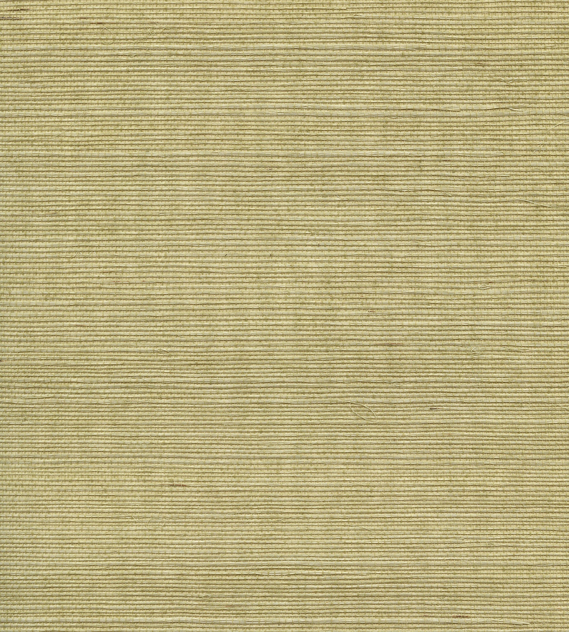 Buy Scalamandre Wallpaper Pattern Wtwgt3951 Name Organic Sisal Springtime Texture Wallpaper