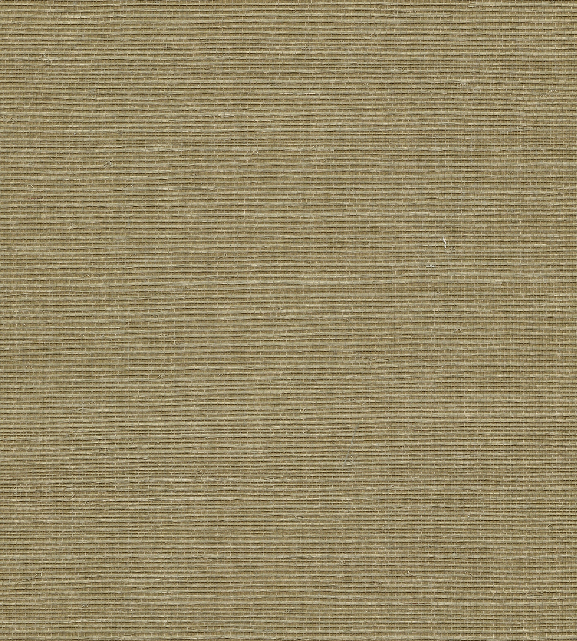 View Scalamandre Wallpaper Pattern Wtwgt3954 Name Organic Sisal Ferndale Texture Wallpaper