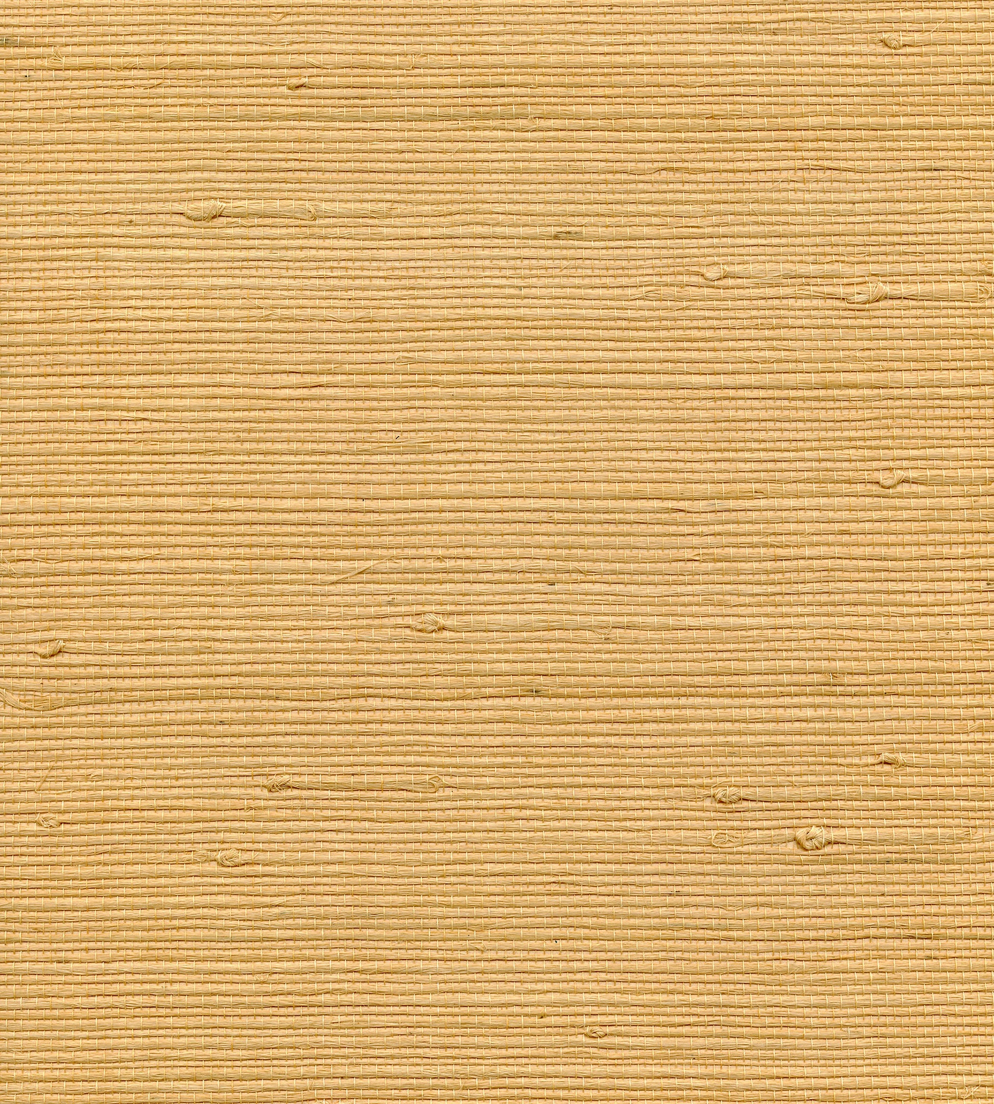 Order Scalamandre Wallpaper Pattern Wtwgt3959 Name Organic Jute Maize Texture Wallpaper