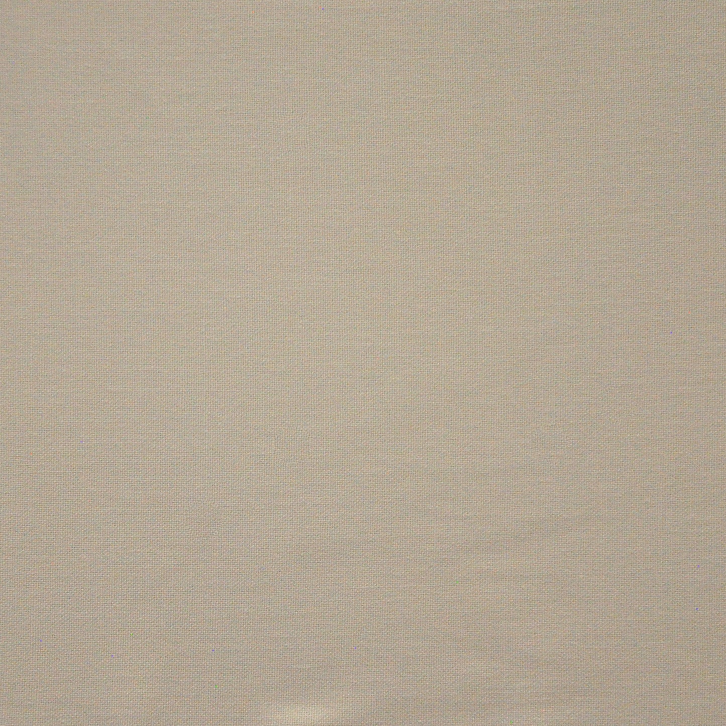 Purchase Maxwell Fabric - Yoji, # 549 Vanilla