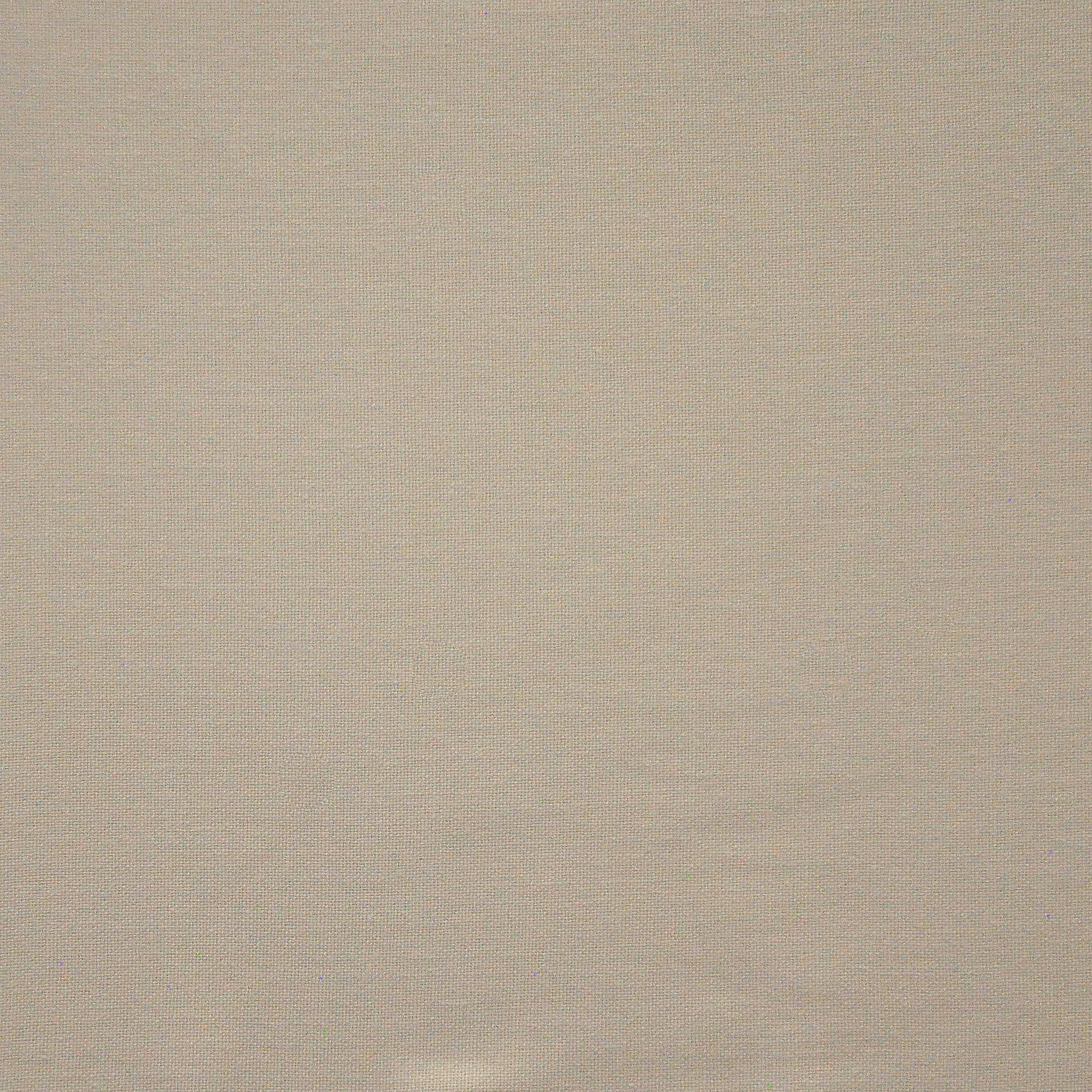 Purchase Maxwell Fabric - Yoji, # 549 Vanilla