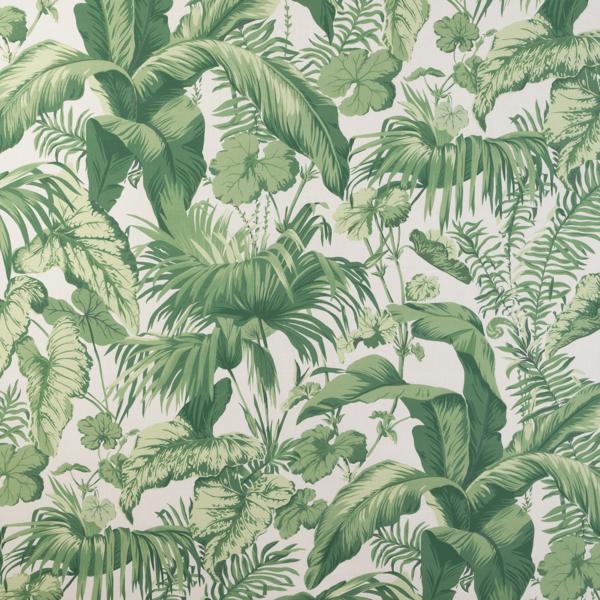 Purchase Yasuni-3 Yasuni, Casa Botanica - Kravet Couture Fabric - Yasuni.3.0