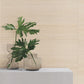 Purchase Ygl7072 | Natural Palette Resource, Horizon Abaca Shell - Ronald Redding Wallpaper