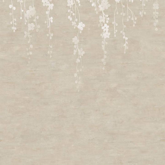 Purchase Za8059M | Tea Garden Ii, Sakura Blooms Neutral Wall Mural - Ronald Redding Wallpaper