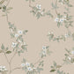 Purchase Za8075 | Tea Garden Ii, April Blossom Taupe - Ronald Redding Wallpaper