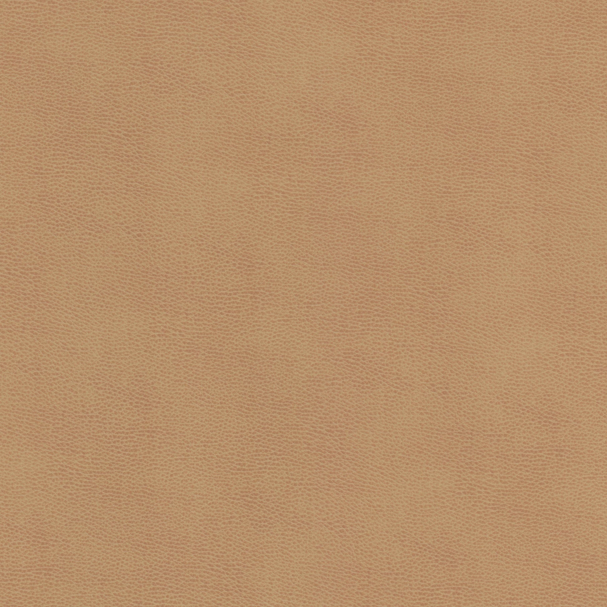 Purchase Stout Fabric Product Ziemba 1 Lion