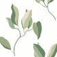 Purchase Zm2872 | Artisan Studio, Brushwork Branches Leaf Green - York Wallpaper