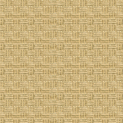 Sample BR-800043.052.0 Reed Texture Beige Texture Brunschwig and Fils Fabric