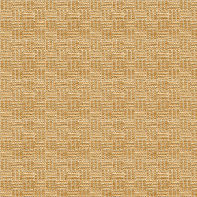 Sample BR-800043.063.0 Reed Texture Beige Texture Brunschwig and Fils Fabric