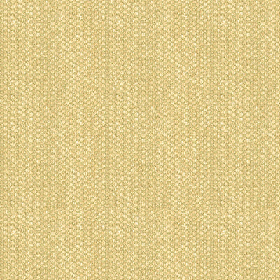 Sample BR-81782.057.0 Yorke Chenille Beige Texture Brunschwig and Fils Fabric