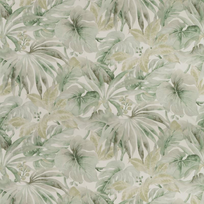 Sample CARLES.23.0 White Botanical Kravet Basics Fabric