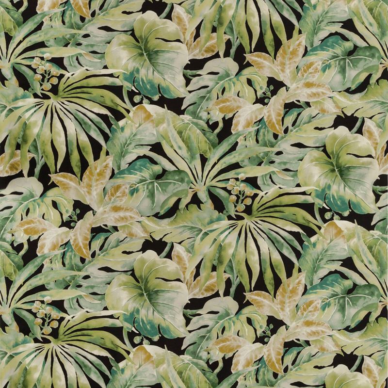 Sample CARLES.830.0 Black Botanical Kravet Basics Fabric
