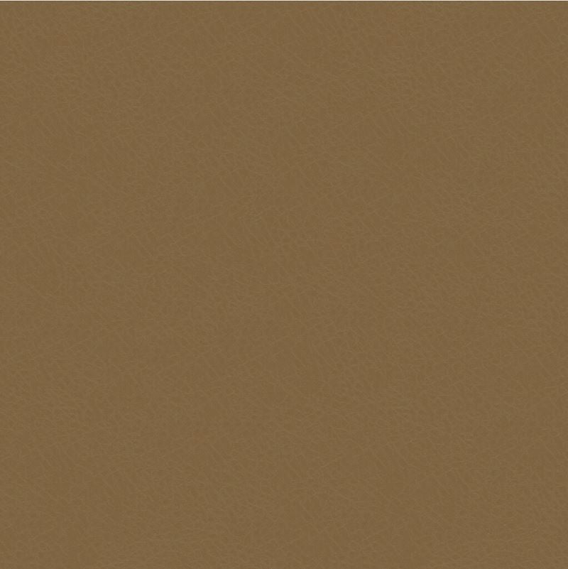 Sample CHADRICK.106.0 Kravet Smart, Chadrick-106 by Kravet Smart Fabric