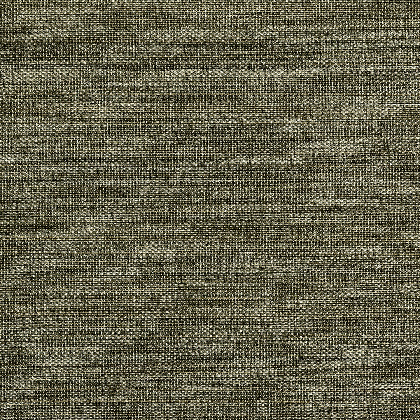 Purchase Phillip Jeffries Wallpaper - 10623, Abaca Royale - Verdant 