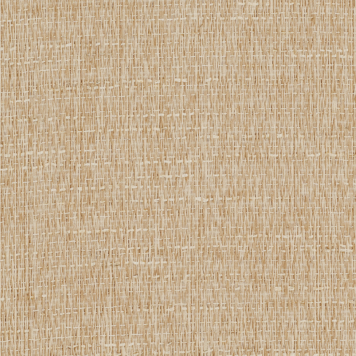 Purchase Phillip Jeffries Wallpaper - 39501, Coco Weave - Warm Beige