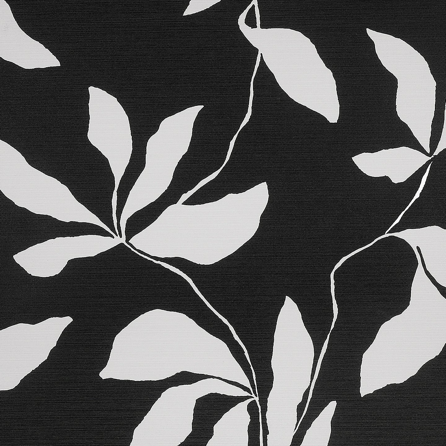 Purchase Phillip Jeffries Wallpaper - 40207, Desert Ivy - Black Veil On Woven Walls